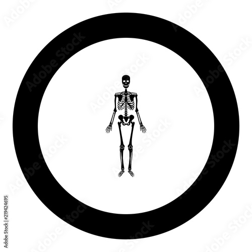 Human skeleton icon black color in round circle