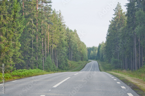 Endless asphalted hilly road ahead through dark green summer forest in south Sweden in July.