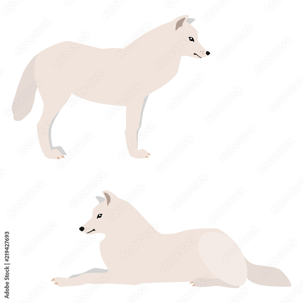 
Vector illustration of standing and lying arctic wolves isolated on white background