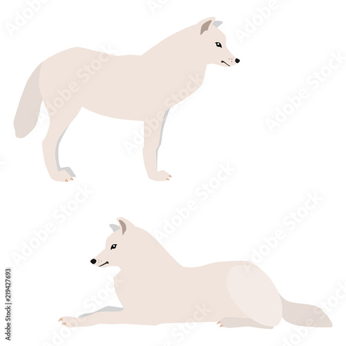  Vector illustration of standing and lying arctic wolves isolated on white background © slybrowney