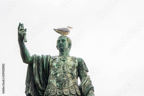 Seagull on the statue of Roman emperor Nerva, or Marcus Cocceius Nerva Caesar Augustus, in Via dei Fori Imperiali street photo