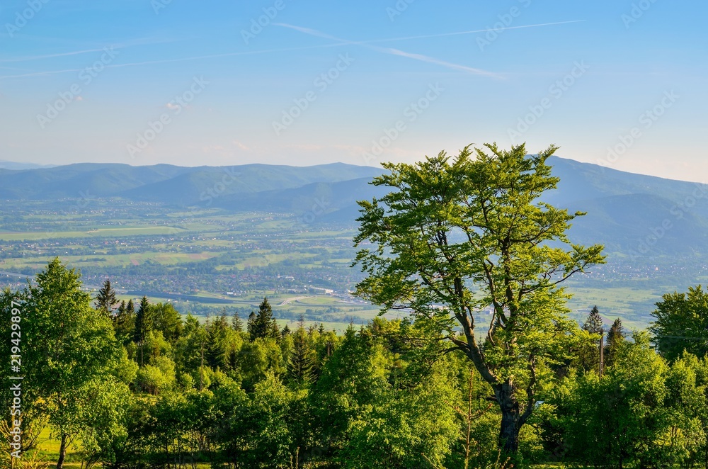 Fototapeta premium Spring mountain landscape. A beautiful view of the green hills.
