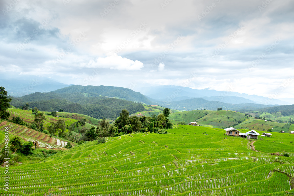 Rice terraces and small huts. Rice terraces and small huts.