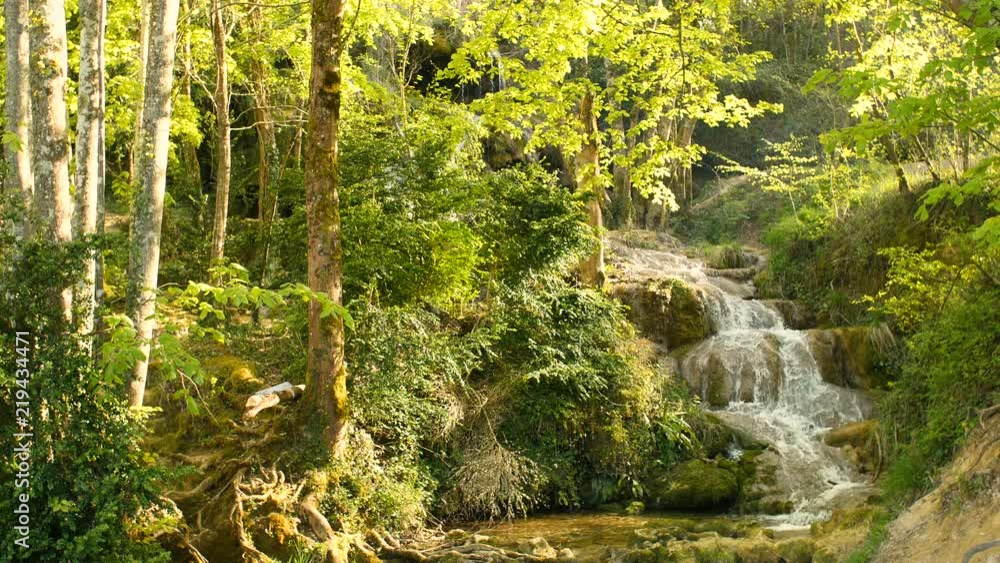 Forest with Quiet Fresh Water in Mountain 7