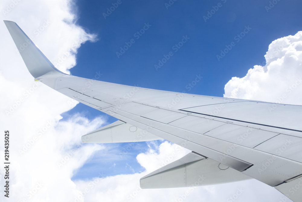 Obraz premium In Flight