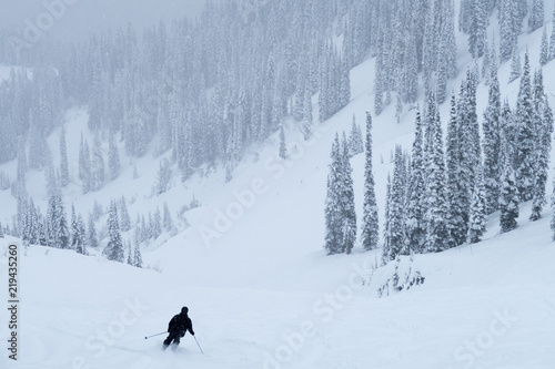 going downhill in fernie