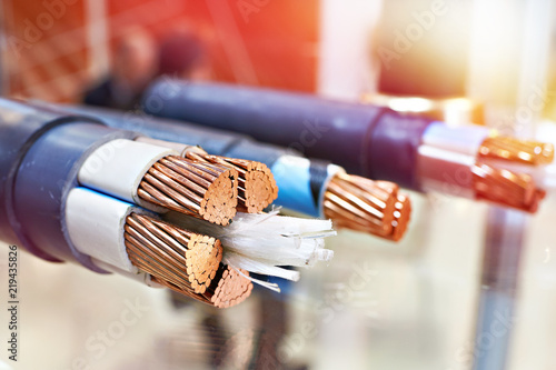 Large copper power cable in section