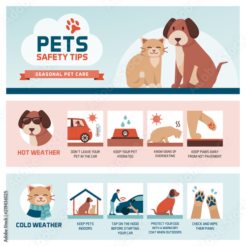 Seasonal pet safety tips