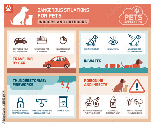 Pet safety tips