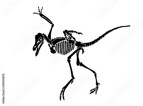 Graphical skeleton of archeopteryx isolated on white background,vector sketch for tattoo and printing