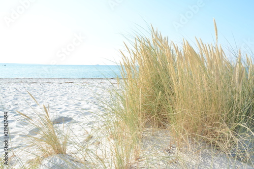 Sommerbrise am Ostseestrand