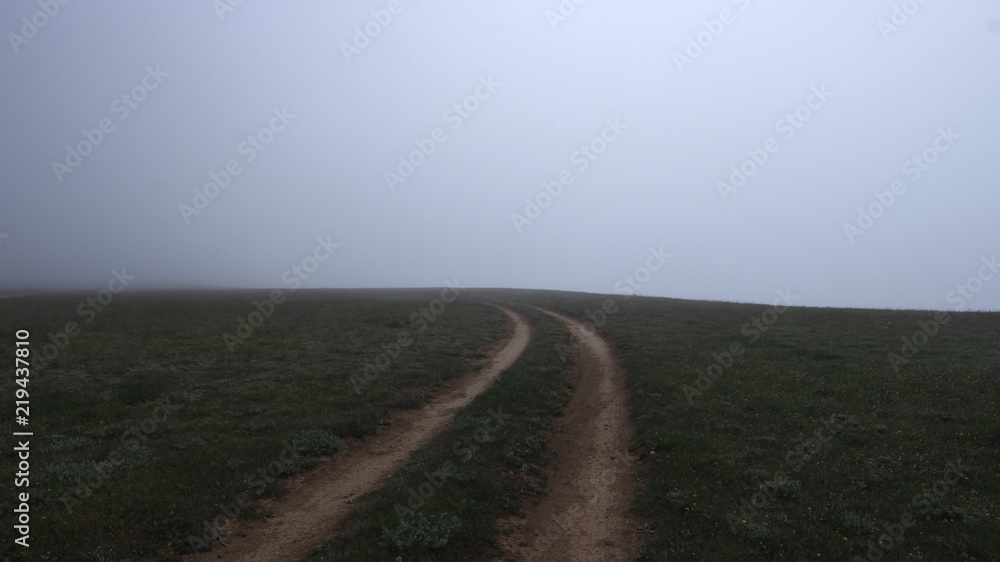 Naklejka premium Дорога. Степь. Туман.