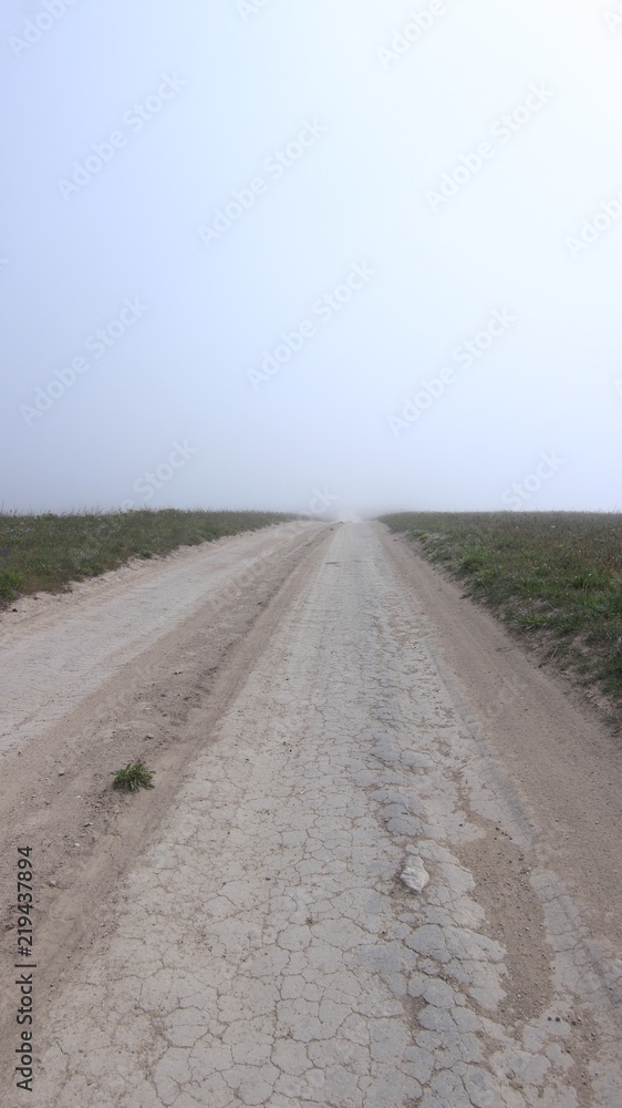 Naklejka premium Дорога. Степь. Туман.
