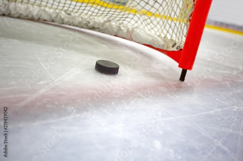 Photography Hockey Net with Puck in Goal