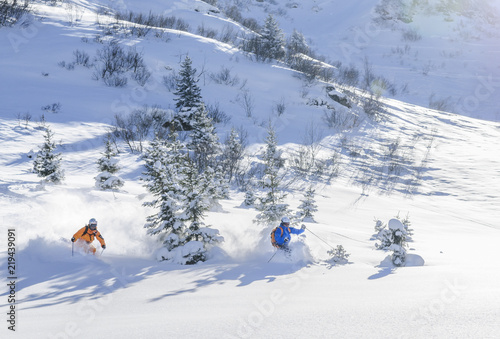 unterwegs im herrlichen Pulverschnee photo