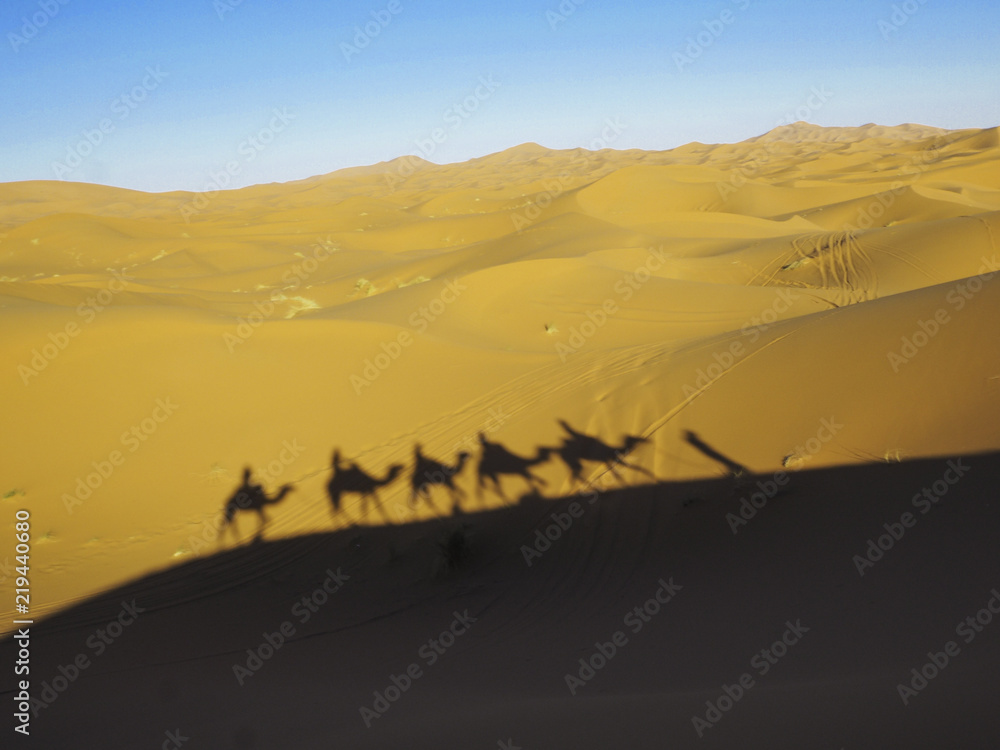 Camels riding in the Sahara Desert in Morocco