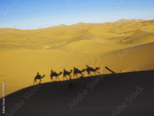 Camels riding in the Sahara Desert in Morocco