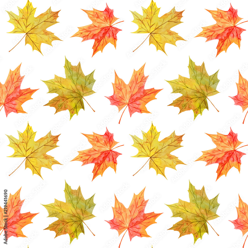 Fototapeta premium Colorful seamless pattern with watercolor autumn maple leaves on white background.