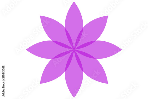 Flor simple de color morado.