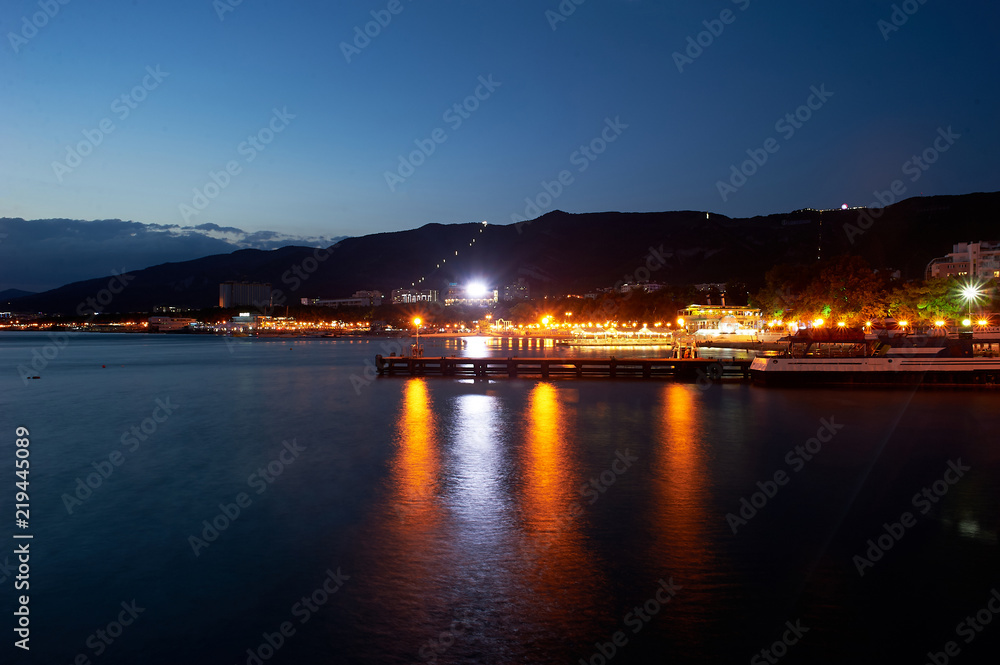 Fototapeta premium Night city with water. Quay lights