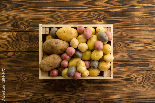 Assorted cultivars of fresh cleaned potatoes photo