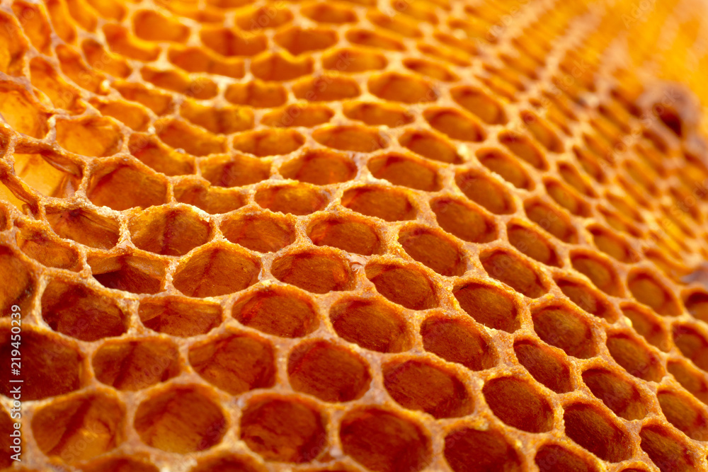 Yellow Honeycomb closeup background Yellow Honeycomb closeup background