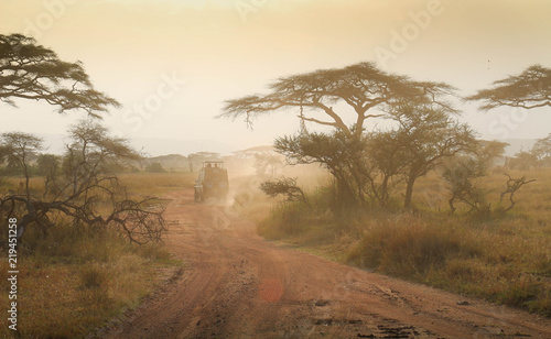 African safari