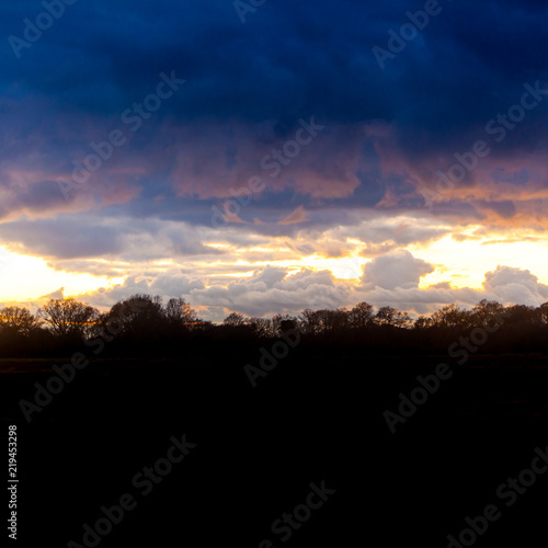 Sunset over the New Forest