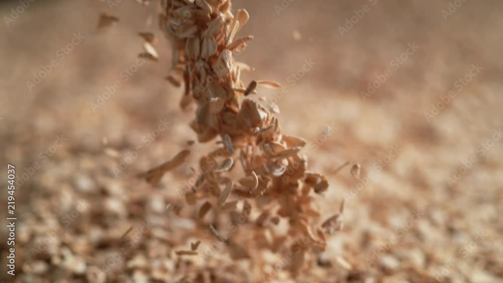 Camera follows throwing oats over a pile of oats. Shot with high speed camera, phantom flex 4K. Slow Motion. Camera follows throwing oats over a pile of oats. Shot with high speed camera, phantom flex 4K. Slow Motion.