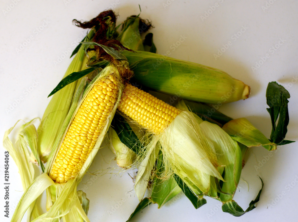 Fresh,organic corn isolated shot with white background 8 Fresh,organic corn isolated shot with white background 8
