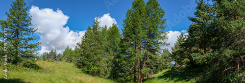 Photo de paysage panoraminque de haute montagne et de chemins de randonnée dans les alpes