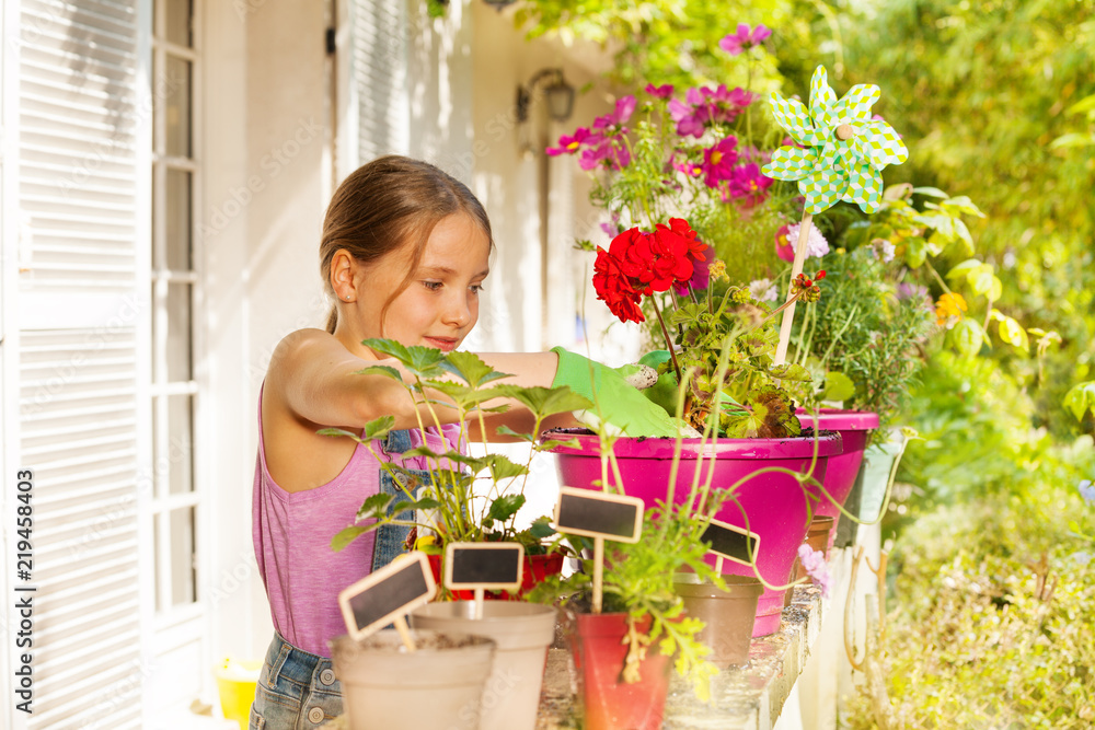 Beautiful blond girl potting geranium on terrace Beautiful blond girl potting geranium on terrace
