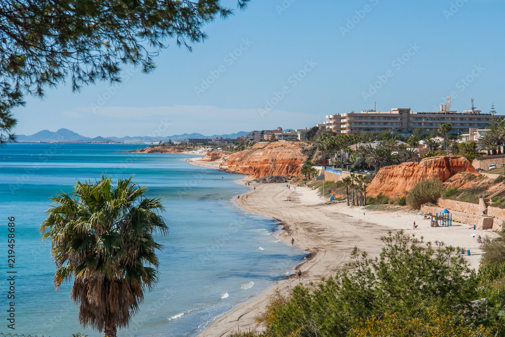 Mediterranean coastline with sandy beach, cliff, palm tree and pine tree under a clear blue sky on a summer day