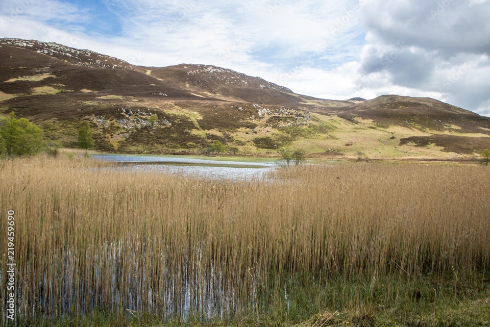 Rannoch Moor