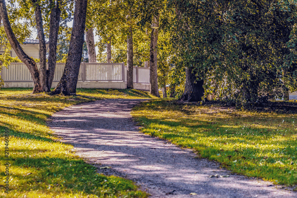 Fototapeta premium the autumn colors