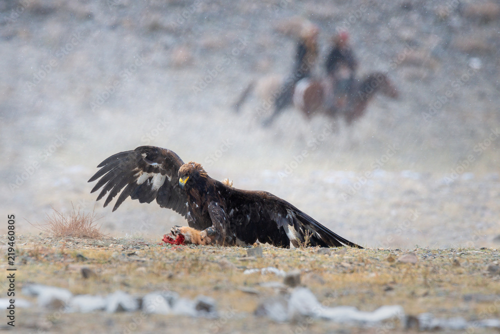 Mongolia,Hunting With Birds Of Prey. Ancient Form Of Hunting In The Territory Of Kazakhstan And Mongolia.Golden Eagle With Dead Fox Against The Background Of Two Silhouettes Of Riders And Falling Snow