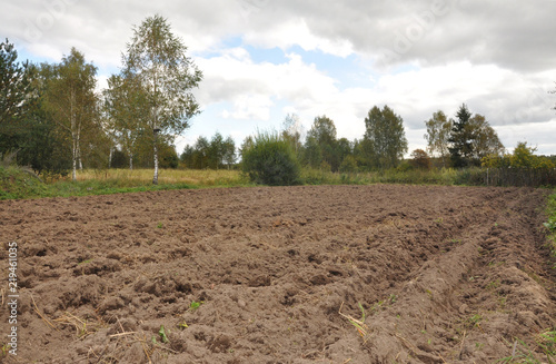 Plot of land plowed, prepared for planting