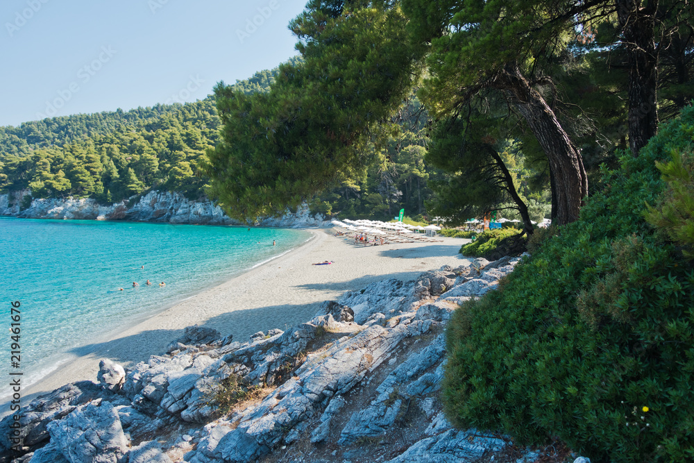 Rocks in a shade of a pine trees at morning, Kastani Mamma Mia beach,  island of Skopelos, Greece Stock Photo | Adobe Stock