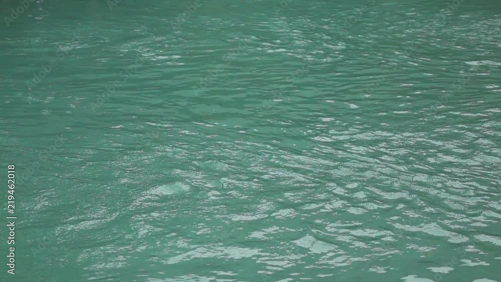 Young man jumping to swimming pool, super slow motion