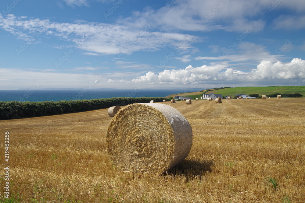 Fin de moisson sur la cote bretonne Fin de moisson sur la cote bretonne