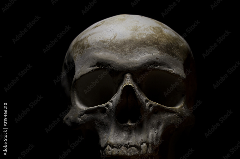 Skull Skull