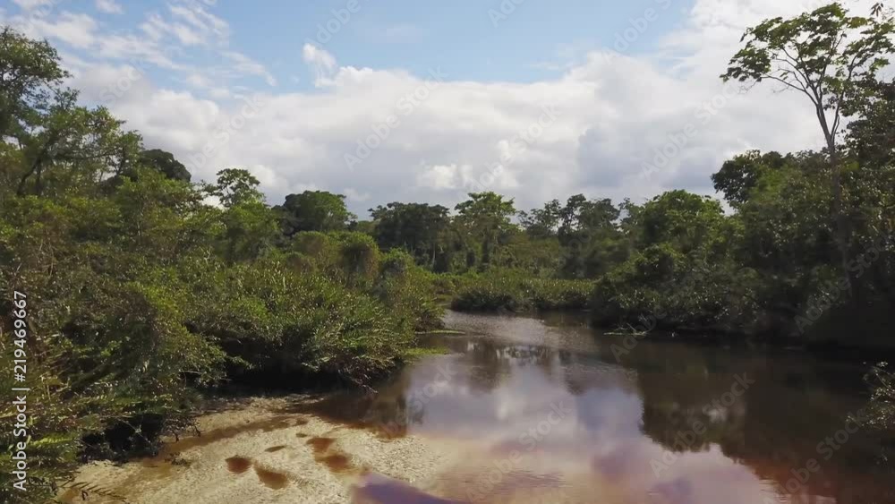 Scenic riverbed in lush foliage, aerial Scenic riverbed in lush foliage, aerial