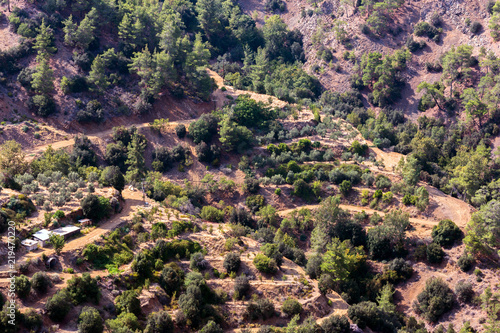 Mountain slopes with trees, terrases and roads in the Troodos region of Cyprus in summer photo