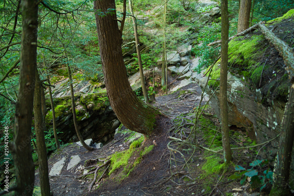 Lost Waterfalls Of Historic Mountain Park, Circa 1883 Abandon Amusement Park Completely Reclaimed By The Forest Lost Waterfalls Of Historic Mountain Park, Circa 1883 Abandon Amusement Park Completely Reclaimed By The Forest