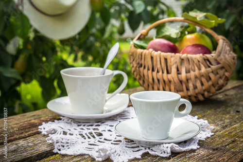 Eating apples juice pie coffee tea on a picnic in nature in a rustic garden on a sunny afternoon, the concept of outdoor recreation, travel and food