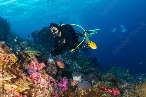 SCUBA divers swimming over a colorful, healthy tropical coral reef