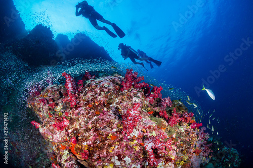 SCUBA divers swimming over a colorful, healthy tropical coral reef