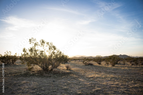 Sunset in the Desert - 2