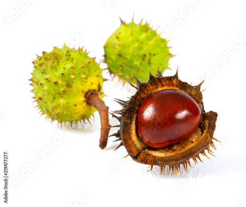 chestnuts isolated on white