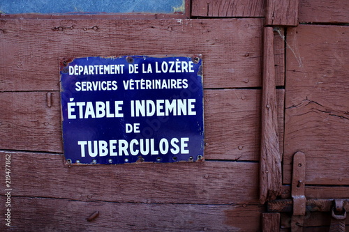 étable indemne de tuberculose